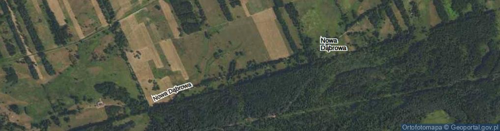 Zdjęcie satelitarne Nowa Dąbrowa ul.